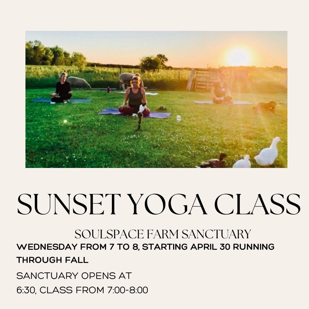 Sunset Yoga